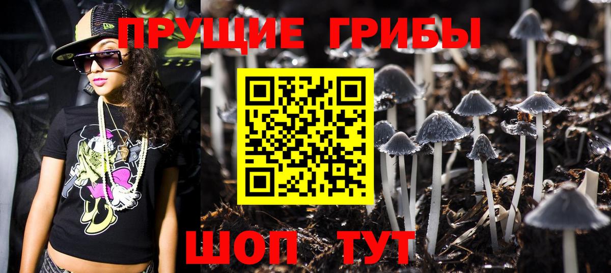 Галлюциногенные грибы прущие грибы Туапсе