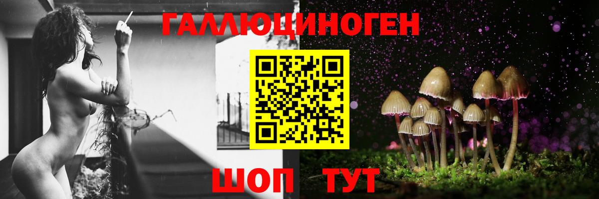 Псилоцибиновые грибы MAGIC MUSHROOMS  Вход с VPN  Туапсе 